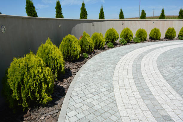 Reasons to Select Us for Your Driveway Paving Requirements in Saint Johns University, MN